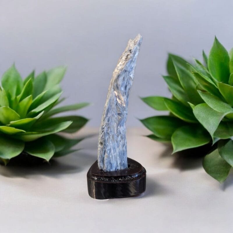 Kyanite Chunk w/ Wood Base #3