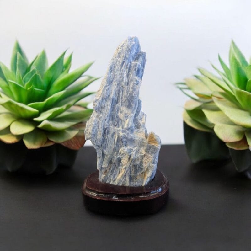 Kyanite Chunk w/ Wood Base #4