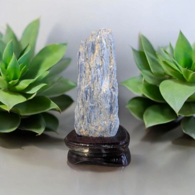 Kyanite Chunk w/ Wood Base #5