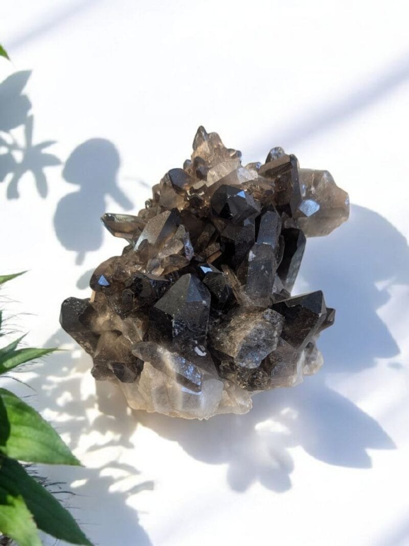 Smoky Quartz Cluster