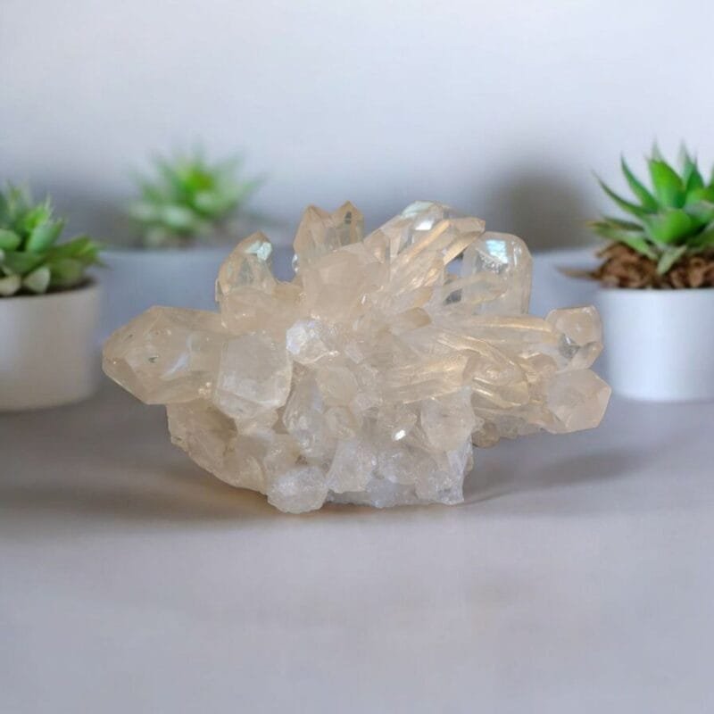 Clear Quartz Cluster #9