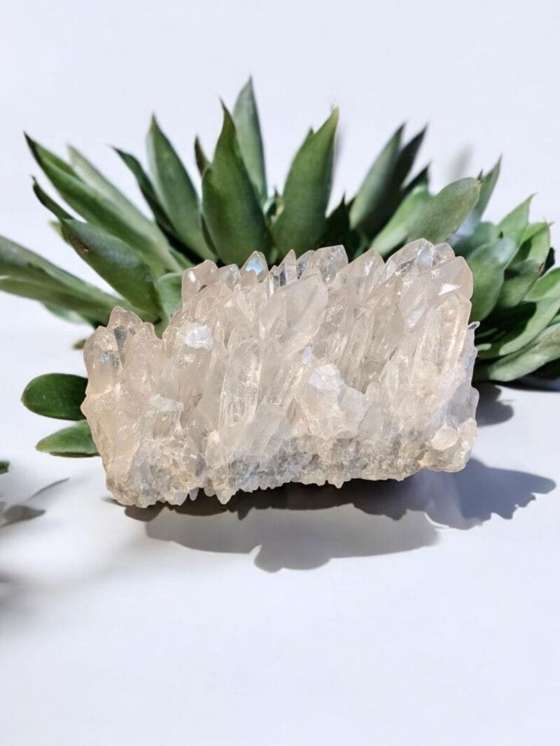 Clear Quartz Cluster #13