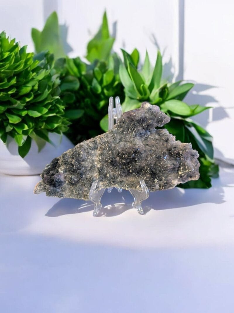 Zeolite w/ Stand