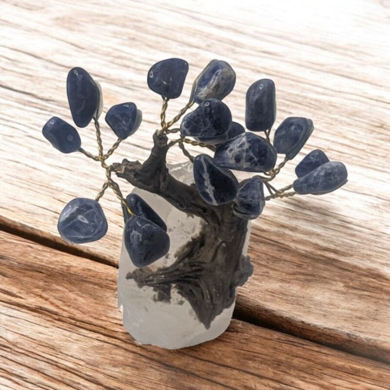Sodalite Tree on Amethyst Base (Mini)