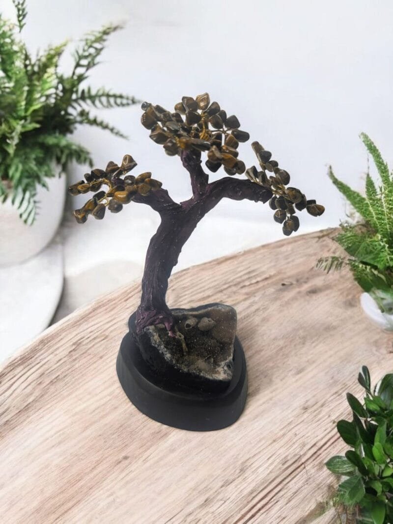 Tiger's Eye Tree on Amethyst Base (S)