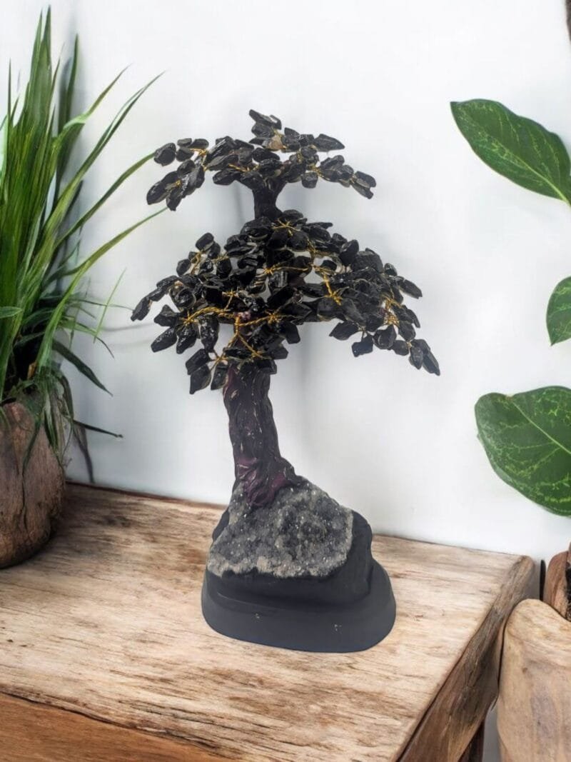 Tourmaline Tree on Amethyst Base (M)