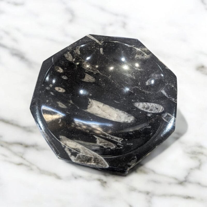 Orthoceras Fossil Octagon Dish