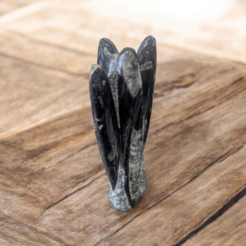 Orthoceras Fossil Tower
